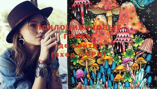 MDMA Заводоуковск