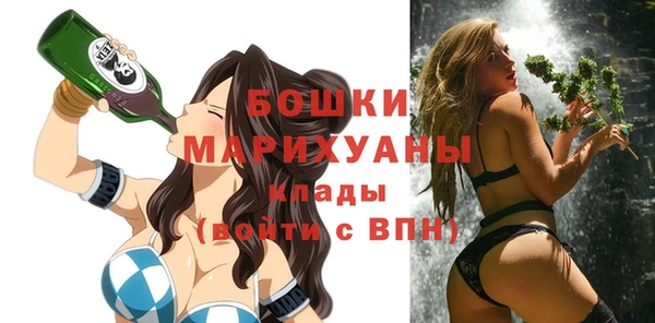прущие крисы Ельня