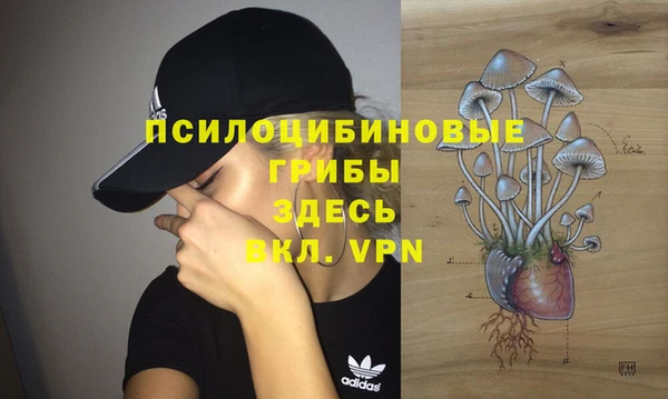 мяу мяу мука Заволжск
