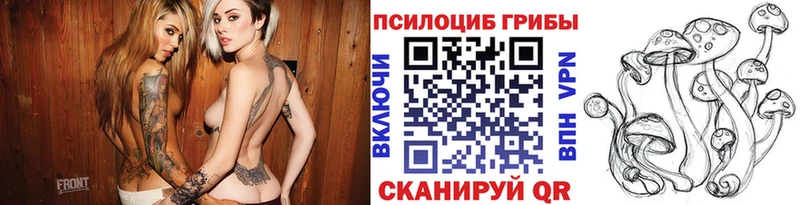 Галлюциногенные грибы Psilocybe  Купить где  Саянск 