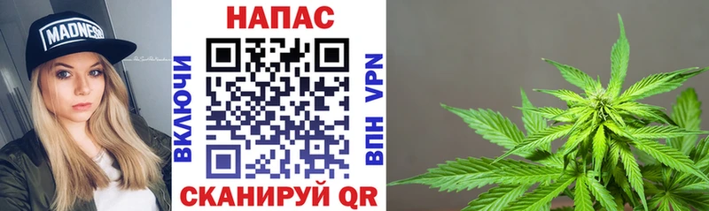 Купить  Саянск  Канабис тримм 